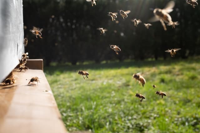 Usage of Axios.all() - Concurrent Http Request